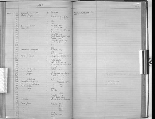 Leptastrea roissyana Milne Edwards & Haime, 1849 - Zoology Accessions Register: Coelenterata & Anthozoa: 1884 - 1934: page 188