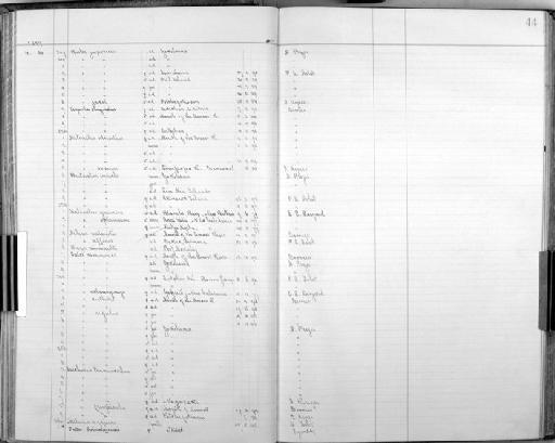 Falco tinnunculus rupicolus - Bird Group Collector's Register: Aves - Seebohm & Hargitt Collection: 1896 - 1898: page 44