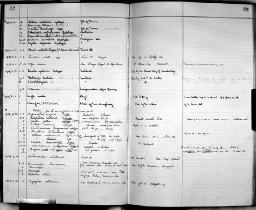 Nymphon solitarium Exline, 1936 - Zoology Accessions Register: Crustacea: 1935 - 1962: page 52