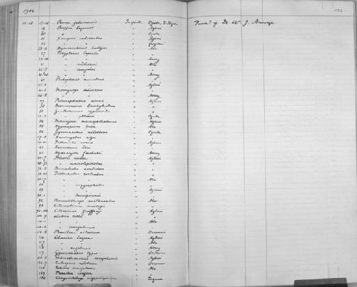 Distichodus rostratus Günther, 1864 - Zoology Accessions Register: Reptiles & Fishes: 1893 - 1903: page 332