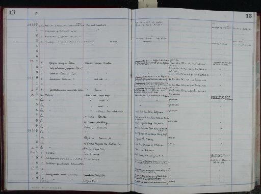 Endothyranella media (Waters) - NHM-UK_P_DF118_04_06_0027