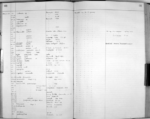 Palaemonetes punicus Sollaud, 1923 - Zoology Accessions Register: Crustacea: 1935 - 1962: page 66