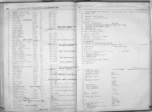 Pomadasys fischeri MS - Zoology Accessions Register: Fishes: 1971 - 1985: page 381