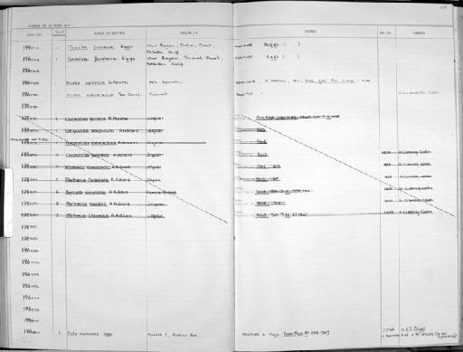 Murex spinosus A. Adams, 1853 - Zoology Accessions Register: Mollusca: 1962 - 1969: page 239