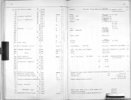 Mops thersites - Zoology Accessions Register: Mammals: 1967 - 1970: page 91