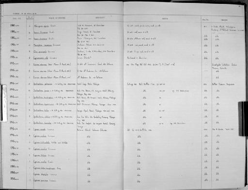 Opisthostoma praeco van Benthem Jutting, 1961 - Zoology Accessions Register: Mollusca: 1962 - 1969: page 20