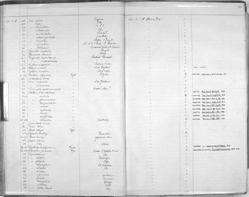 Unio scutum subterclass Palaeoheterodonta G. B. Sowerby II, 1868 - Zoology Accessions Register: Mollusca: 1906 - 1911: page 46