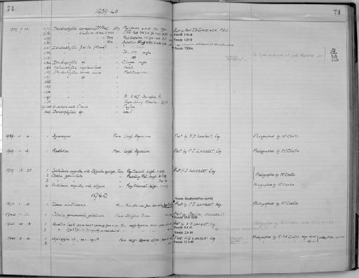Dendrophyllia cladonia van der Horst - Zoology Accessions Register: Coelenterata: 1934 - 1951: page 74