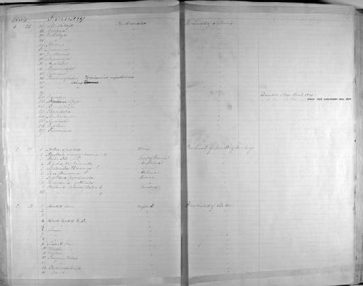 Dysithamnus semicinereus P.L. Sclater, 1855 - Zoology Accessions Register: Aves (Skins): 1854 -1873: page 6