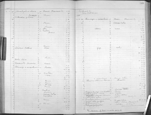 Hemignathus lucidus hanapepe S.B. Wilson, 1889 - Zoology Accessions Register: Aves (Skins): 1923 - 1926: page 148