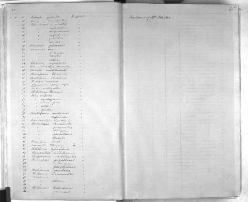 Julis (Halichoeres) hyrtlii Bleeker, 1856 - Zoology Accessions Register: Mammals: 1861 - 1890: page 25