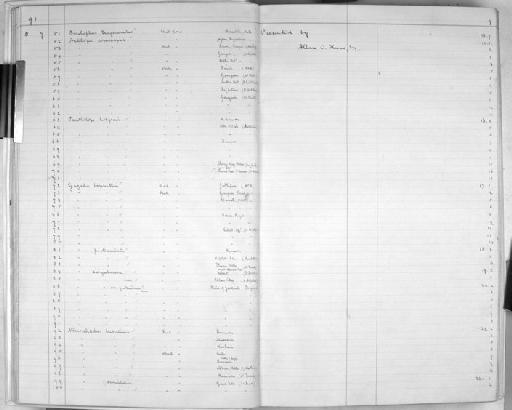 Pantholops hodgsoni - Zoology Accessions Register: Mammals: 1891 - 1898: page 9