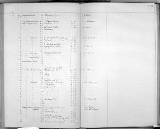 Myrmotherula ornata ornata (P.L. Sclater, 1853) - Bird Group Collector's Register: Aves - Salvin & Godman Collection Vol 5: 1898 - 1913: page 238