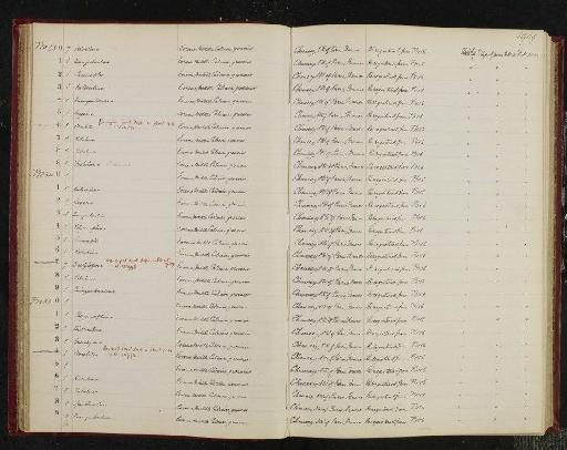 Polymorphina Orbigny S. S. Galloway & Wissler, 1927 - NHM-UK_P_DF118_04_02_0093