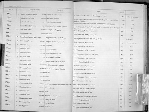 Mitra armillata Reeve, 1845 - Zoology Accessions Register: Mollusca: 1962 - 1969: page 165