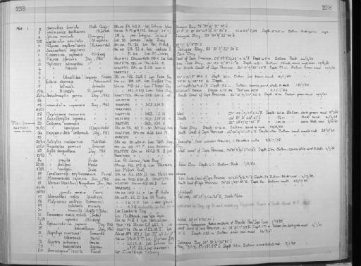 Laetmatonice benthaliana McIntosh - Zoology Accessions Register: Annelida: 1936 - 1970: page 238