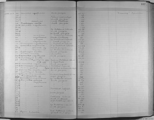 Sheila bathypelagica Monro, 1930 - Zoology Accessions Register: Annelida & Echinoderms: 1924 - 1936: page 102