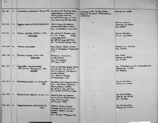 Parapinnixa affinis subsection Thoracotremata section Eubrachyura Holmes, 1900 - Zoology Accessions Register: Crustacea: 1976 - 1984: page 12