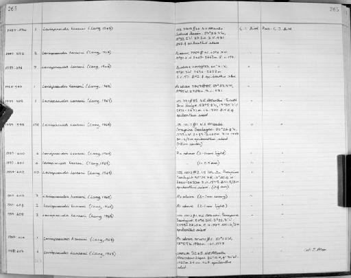 Leviapseudes hanseni (Lang, 1968) - Zoology Accessions Register: Crustacea: 1984 - 1991: page 265