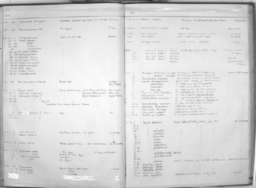 Ptychocheilus oregonensis (Richardson, 1836 ex Gairdner) - Zoology Accessions Register: Fishes: 1971 - 1985: page 233