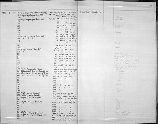 Zoology Accessions Register: Coelenterata: 1958 - 1964: page 36