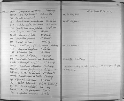 Lagisca kubrechti - Zoology Accessions Register: Annelida & Echinoderms: 1924 - 1936: page 82