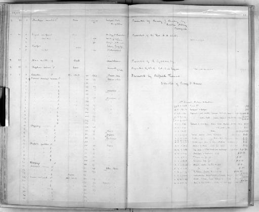 Elephas maximus Linnaeus, 1758 - Zoology Accessions Register: Mammals: 1899 - 1903: page 51