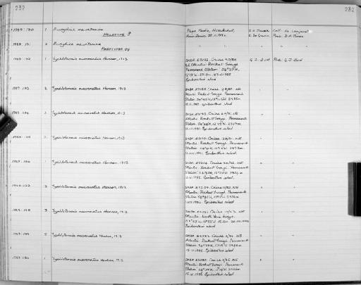 Typhlotanais mucronatus Hansen, 1913 - Zoology Accessions Register: Crustacea: 1984 - 1991: page 232