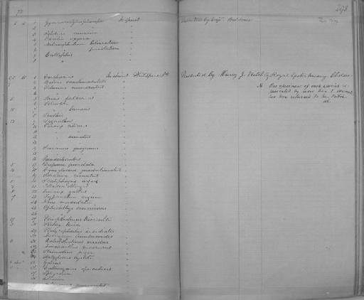 Cynoglossus quadrilineatus - Zoology Accessions Register: Reptiles & Fishes: 1864 - 1877: page 298