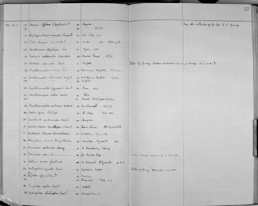 Acartia bifilosa (Giesbrecht, 1881) - Zoology Accessions Register: Crustacea (Entomostraca): 1938 - 1963: page 77