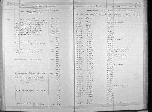 Nepthys hombergi Savigny, 1818 - Zoology Accessions Register: Annelida: 1936 - 1970: page 216
