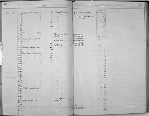 Podocoryne tenuis Browne - Zoology Accessions Register: Coelenterata: 1934 - 1951: page 61