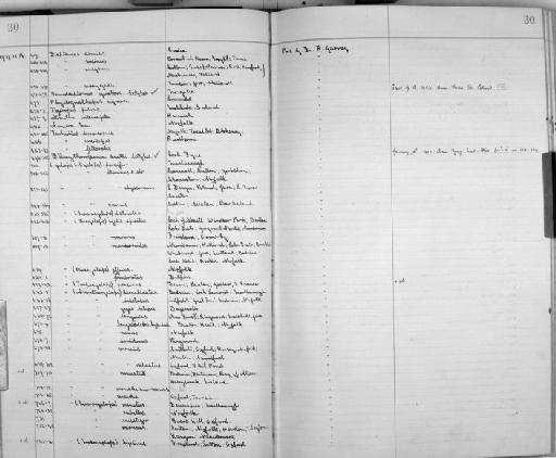 Diaptomus wierzeiskii - Zoology Accessions Register: Crustacea: 1935 - 1962: page 30