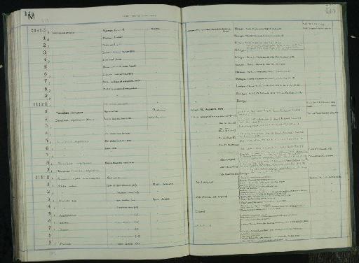 Damaliscus antiquus Leakey, 1965 - NHM-UK_P_DF118_03_35_0299