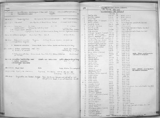 Bathymyrus smithi Castle, 1968 - Zoology Accessions Register: Fishes: 1971 - 1985: page 379