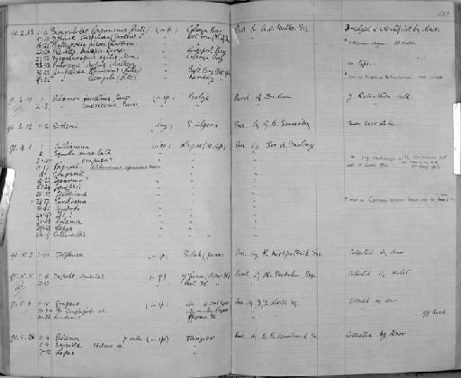 Monoculodes longimanus parvorder Oedicerotidira Spence Bate & Westwood, 1868 - Zoology Accessions Register: Crustacea: 1876 - 1905: page 133