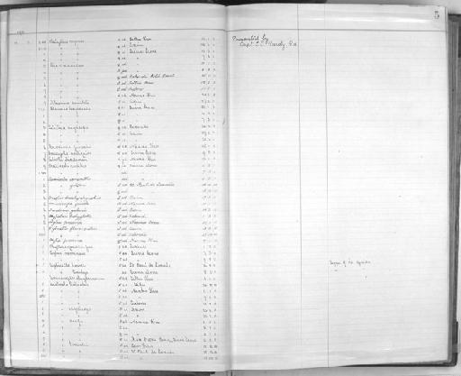 Cercomela familiaris angolensis Lynes, 1926 - Zoology Accessions Register: Aves (Skins): 1911 - 1913: page 5