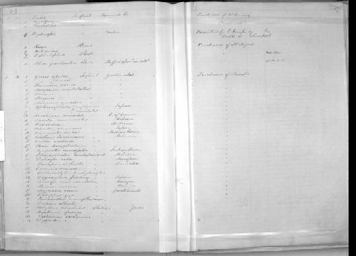 Tetrodon sanctaehelenae Günther, 1870 - Zoology Accessions Register: Mammals: 1850 - 1853: page 399