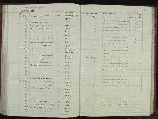 Acrocoelites (Acrocoelites) subgracilis Kolb - NHM-UK_P_DF118_06_38_0165