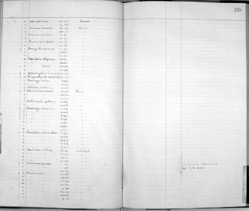Hemignathus lucidus hanapepe S.B. Wilson, 1889 - Zoology Accessions Register: Aves (Skins): 1892 -1896: page 195