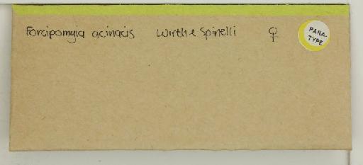 Forcipomyia acinacis Wirth & Spinelli - 014769936_additional