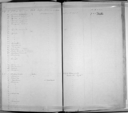 Peristedion sp - Zoology Accessions Register: Mammals: 1841 - 1844: page 207