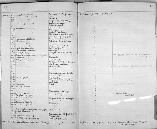 Lepeophtheirus septemtrionalis Townsend,  1938 - Zoology Accessions Register: Crustacea: 1935 - 1962: page 43
