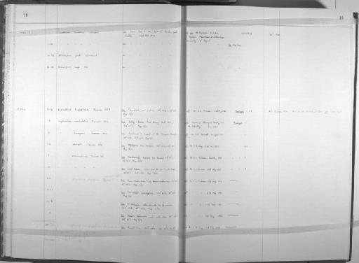 Graliophilus tripapillatus Jamieson - Zoology Accessions Register: Annelida: 1971 - 1983: page 19