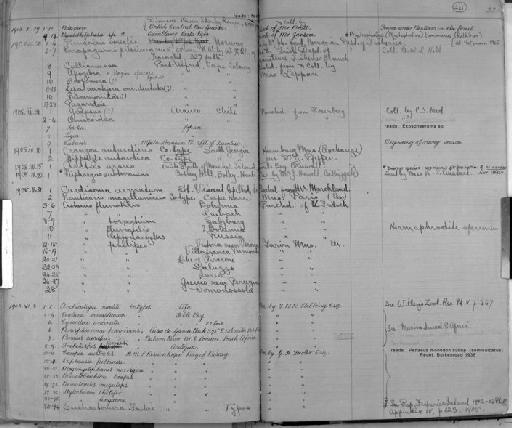 Nauticaris magellanicus - Zoology Accessions Register: Crustacea: 1876 - 1905: page 221