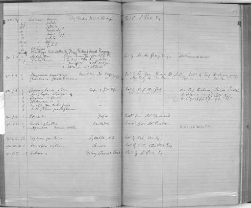 Flabellum Lesson, 1831 - Zoology Accessions Register: Coelenterata & Anthozoa: 1884 - 1934: page 84