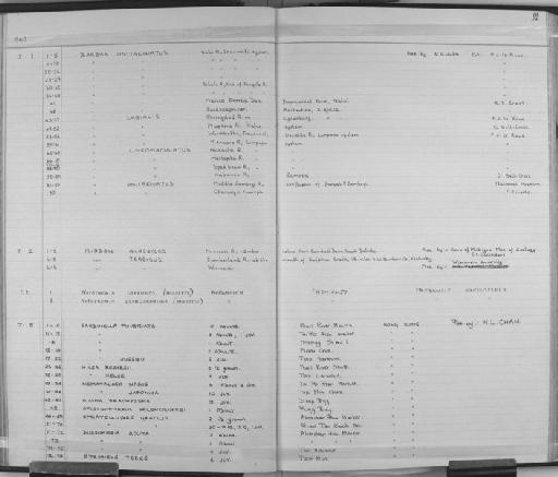 Sardinella (Clupeonia) richardsoni Wongratana, 1983 - Zoology Accessions Register: Fishes: 1961 - 1971: page 91