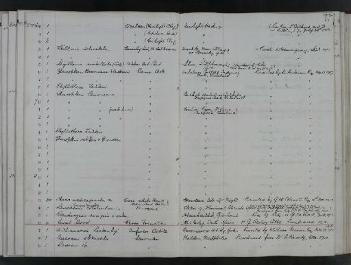 Prosopis linearifolia (Lx.) - NHM-UK_P_DF118_02_67_0273