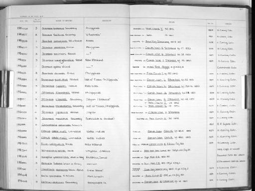 Strombus novaezelandiae Reeve, 1842 - Zoology Accessions Register: Mollusca: 1962 - 1969: page 257
