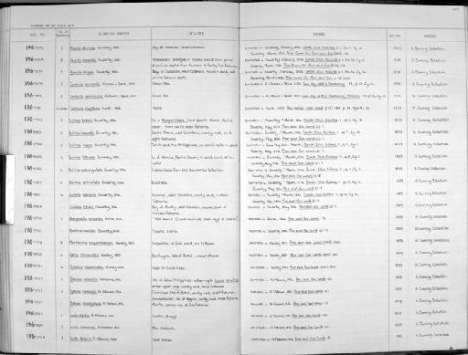 Leda electa A. Adams, 1856 - Zoology Accessions Register: Mollusca: 1962 - 1969: page 207
